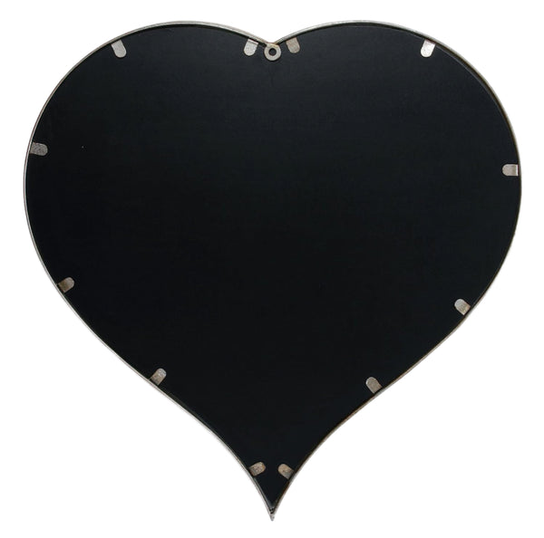 Heart mirror
