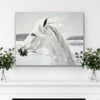 Bling Crystal White Horse Canvas - Azaroffs