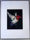 Hummingbird Original