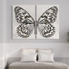 Butterfly Wings