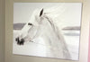 White Horse