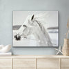 Bling Crystal White Horse Canvas - Azaroffs