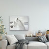 Bling Crystal White Horse Canvas - Azaroffs